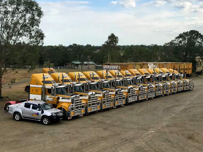 Fleet Martins Stock Haulage The Martin Group